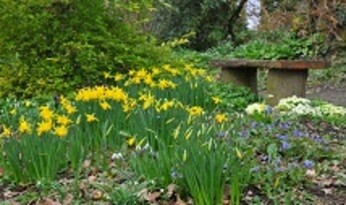 Discover the Beth Chatto gardens