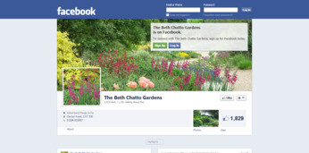 Discover the Beth Chatto gardens