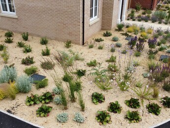 Planting at Chattowood Housing Development