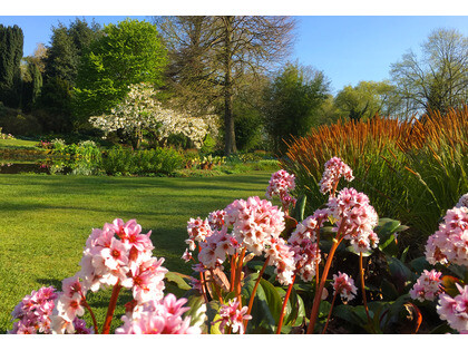 Aerating your lawn