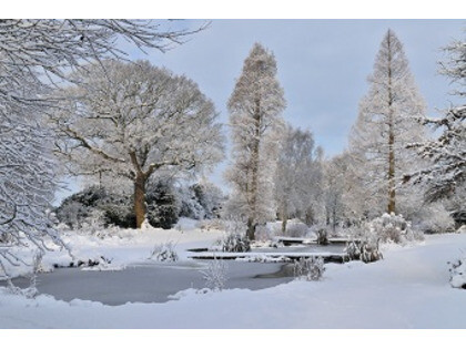 The Winter Months