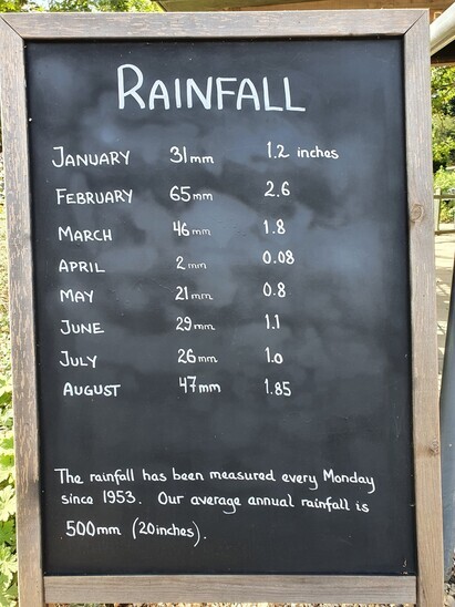 Measuring the rainfall at The Beth Chatto Gardens
