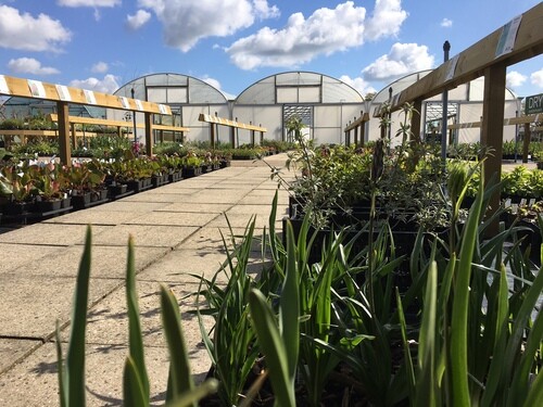 The Nursery