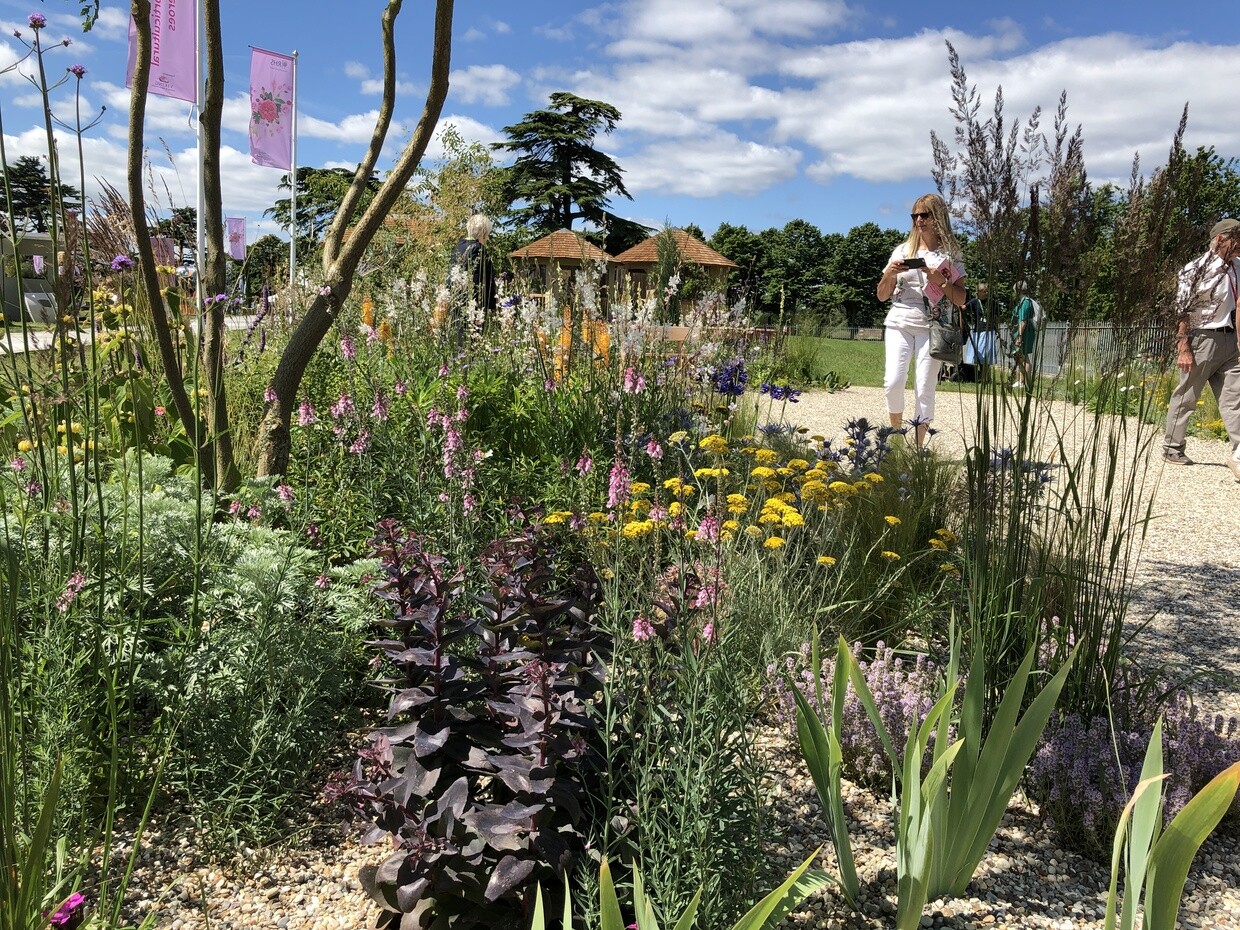 Hampton Court Palace Garden Festival  the plants!