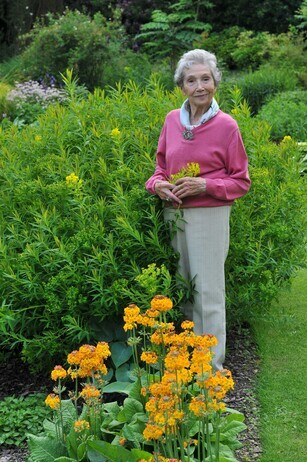 Luminous euphorbias and the fabulous Great Dixter Spring Plant Fair Luminous euphorbias and the fabulous Great Dixter Spring Plant Fair