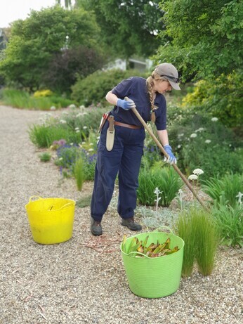 Weekly catch up with garden & propagation
