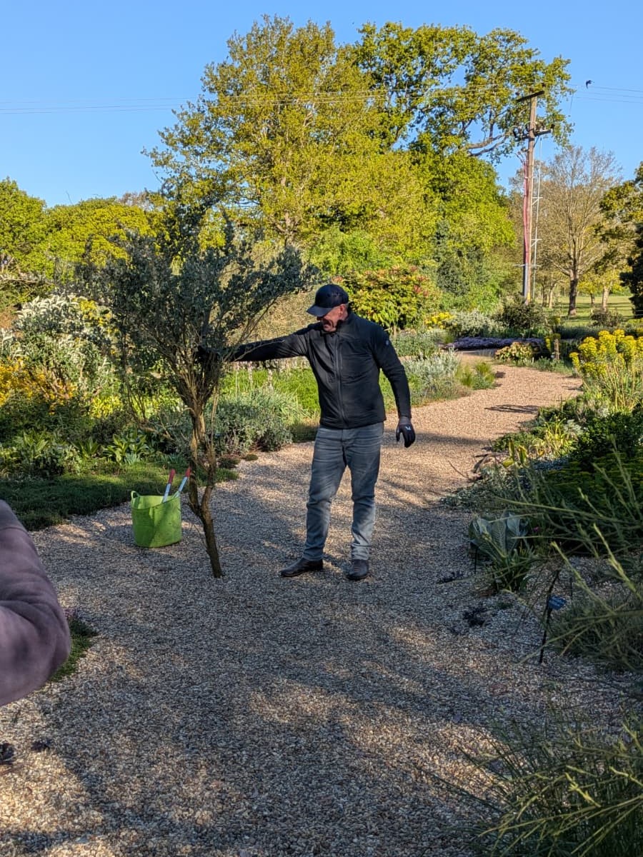 Weekly catch up with garden & propagation