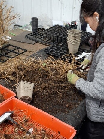 Weekly catch up with garden & propagation