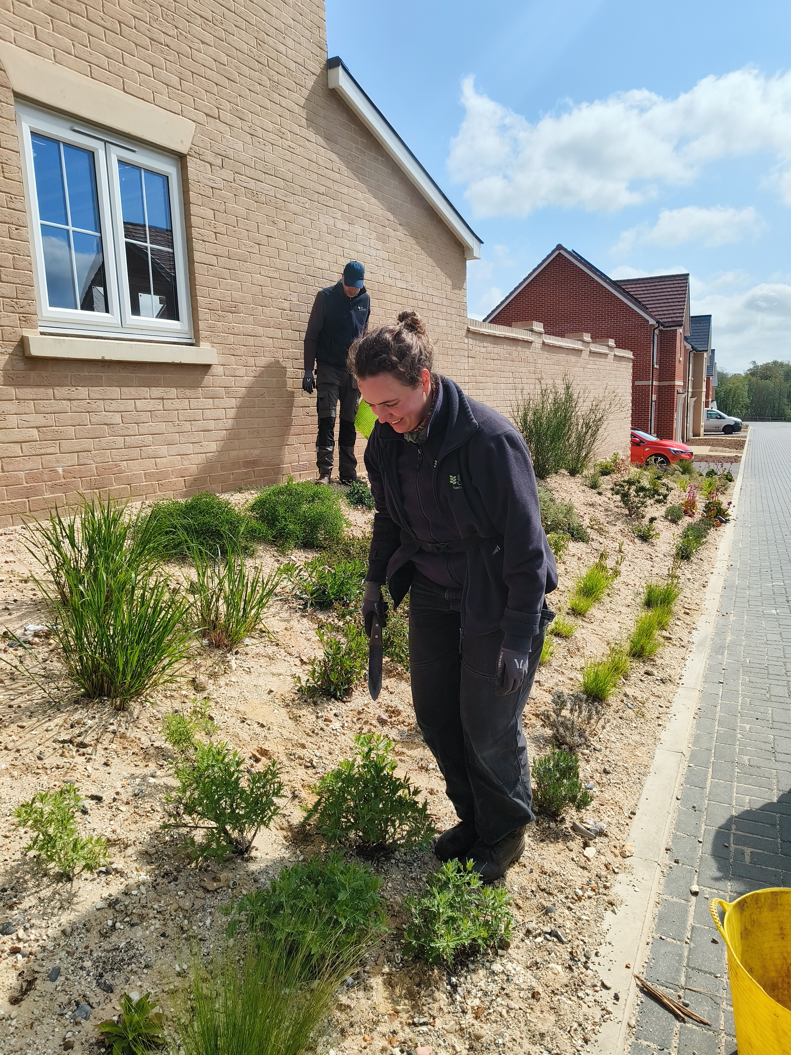 Weekly catch up with garden & propagation