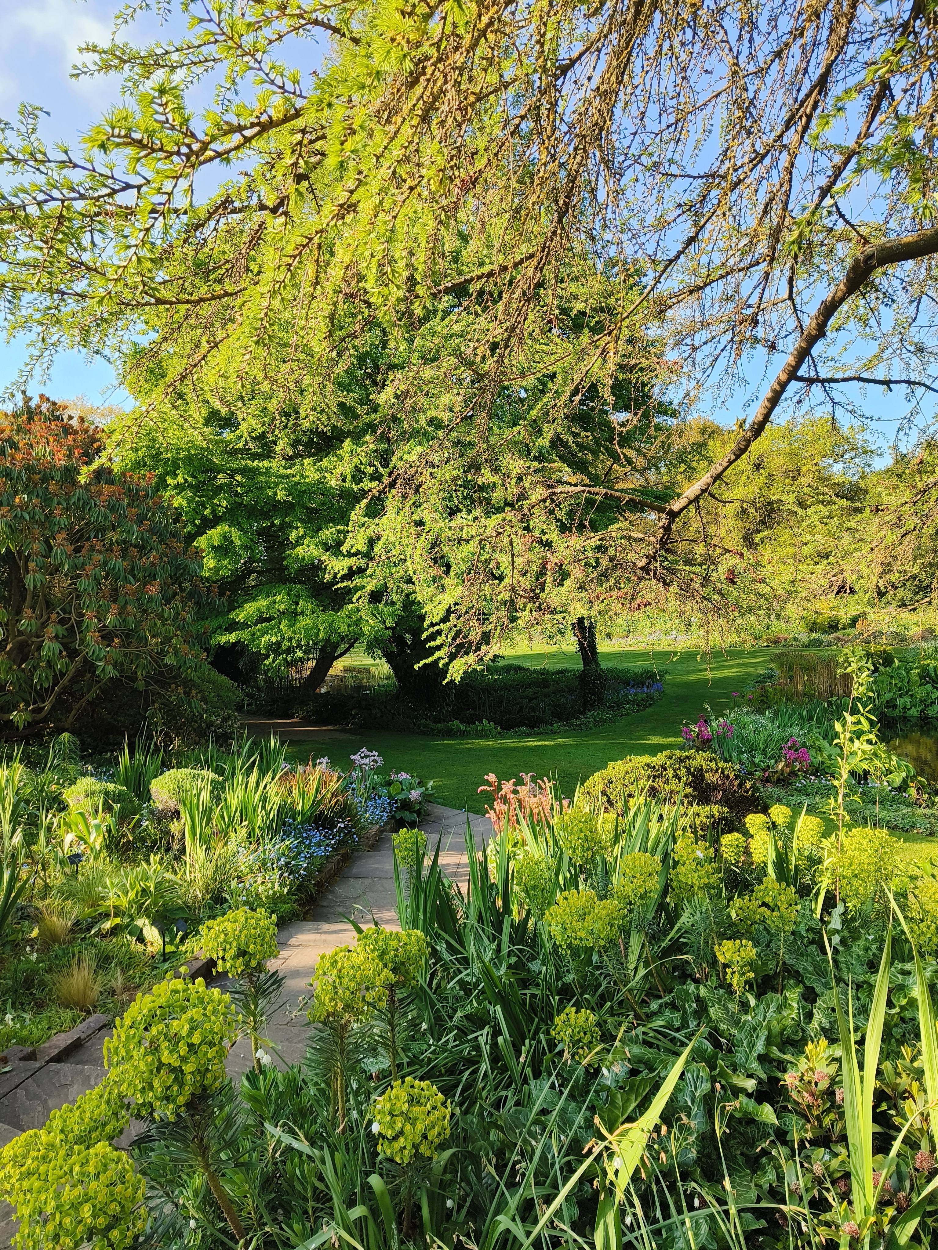 Weekly catch up with garden & propagation