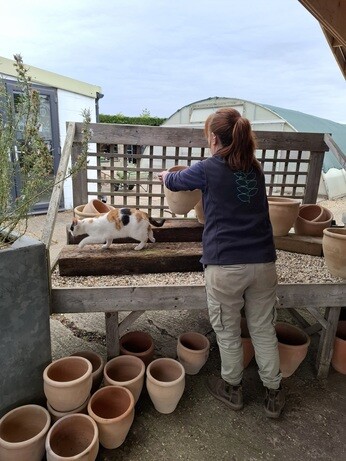 Weekly catch up with gardens & propagation