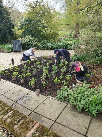 Weekly catch up with gardens & propagation