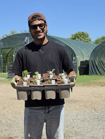 Weekly catch up with garden and propagation