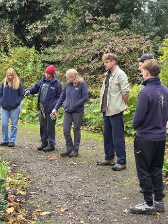 Weekly catch up with garden & propagation Weekly catch up with garden & propagation