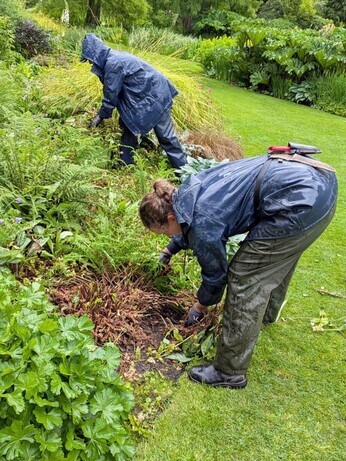 Weekly catch up with garden and propagation