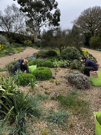 Weekly catch up with garden & propagation