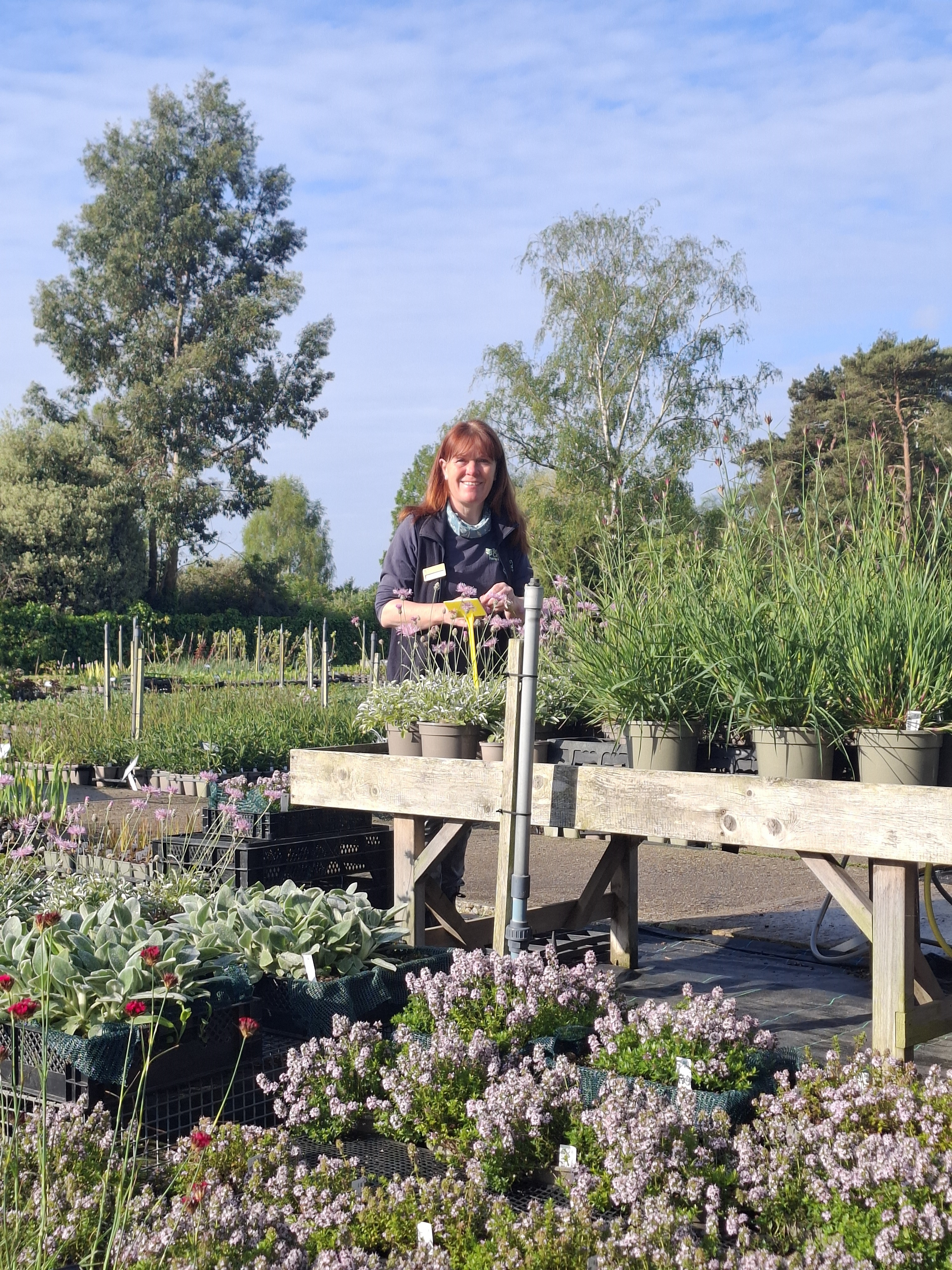 Weekly catch up with garden & propagation