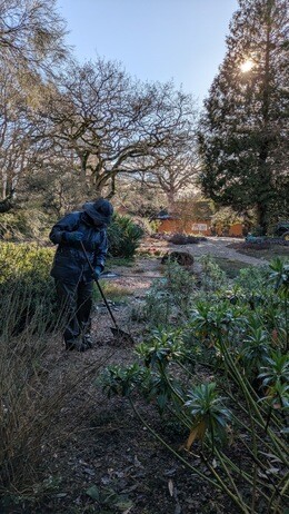 Weekly catch up with garden & propagation