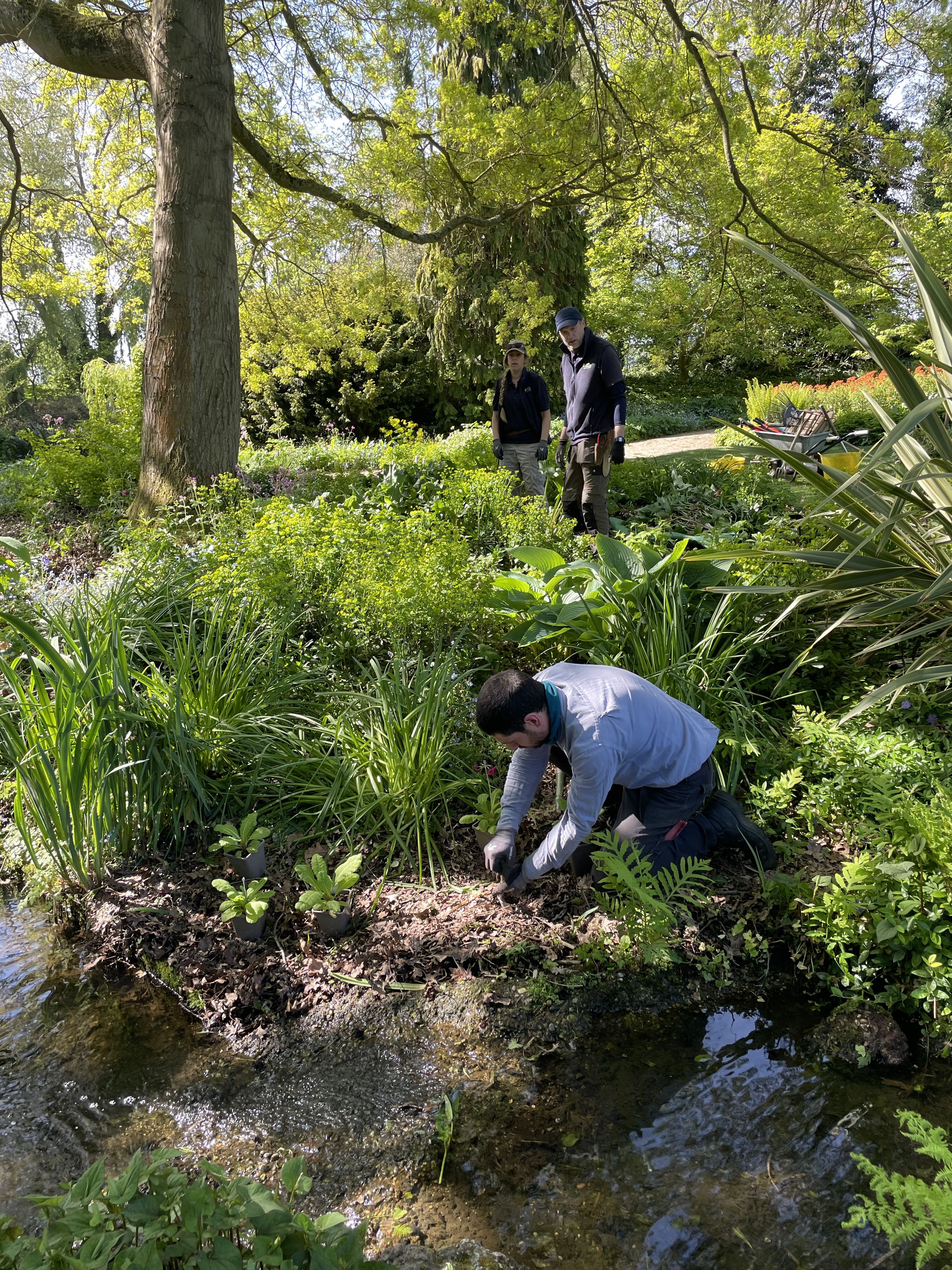 Weekly catch up with garden & propagation