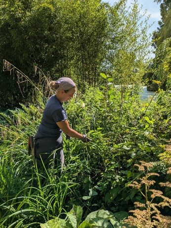 Weekly catch up with garden & propagation