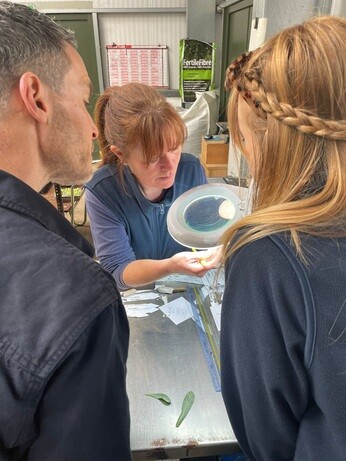 Weekly catch up with garden & propagation