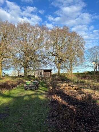 Weekly catch up with garden & propagation