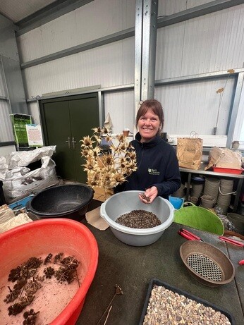 Weekly catch up with garden & propagation