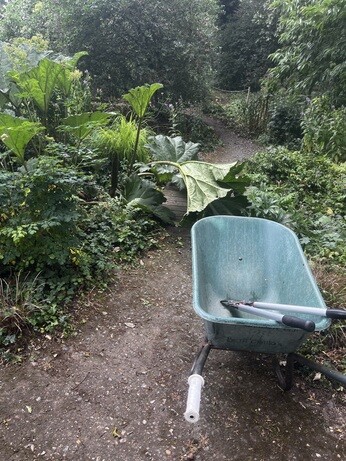 Weekly catch up with garden & propagation
