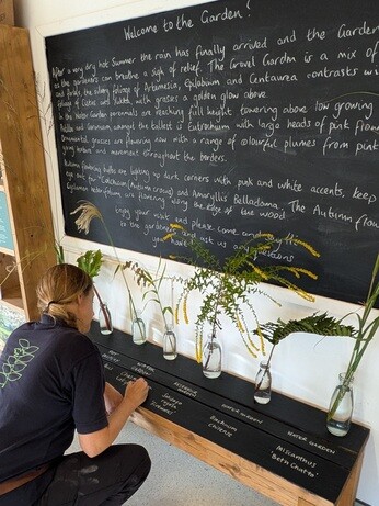 Weekly catch up with garden and propagation