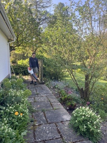 Weekly catch up with gardens & propagation Weekly catch up with gardens & propagation