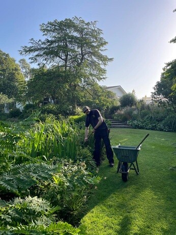 Weekly catch up with garden and propagation
