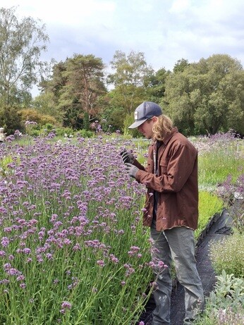 Weekly catchup with garden and propagation