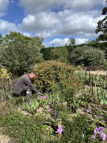Weekly catch up with garden & propagation