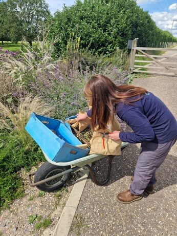 Seed collecting with propagation expert Emily