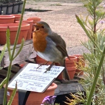 Wild Words from the Ground - October Wild Words from the Ground - October