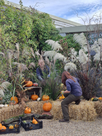 Weekly catch up with garden & propagation Weekly catch up with garden & propagation