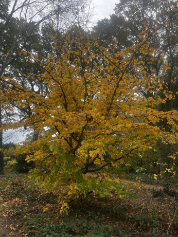 Weekly catch up with garden & propagation Weekly catch up with garden & propagation