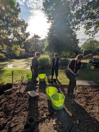 Weekly catch up with garden and propagation Weekly catch up with garden and propagation