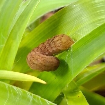 Wild Words from the Ground - December/January