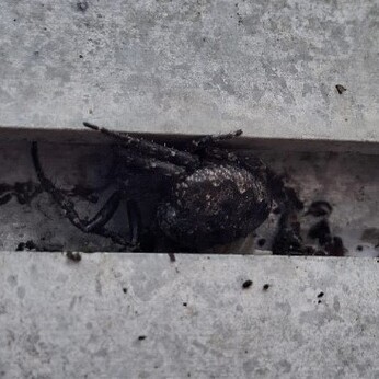 Wild Words from the Ground - February