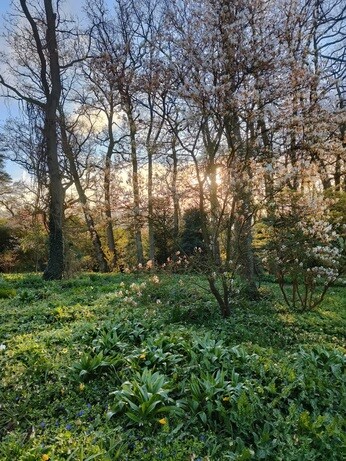 Weekly catch up with garden & propagation