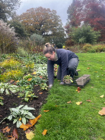 Weekly catch up with garden & propagation Weekly catch up with garden & propagation