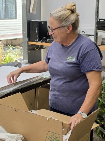 Weekly catch up with garden and propagation