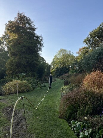 Weekly catch up with garden and propagation Weekly catch up with garden and propagation