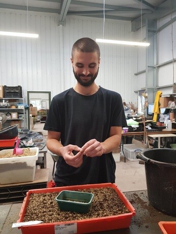 Weekly catch up with garden and propagation