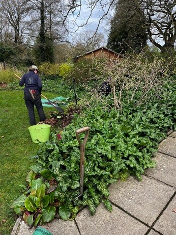 Weekly catch up with garden & propagation Weekly catch up with garden & propagation