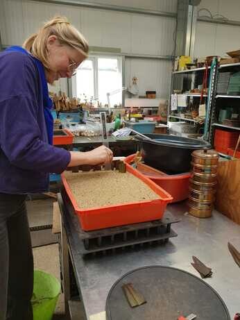 Weekly catch up with garden and propagation Weekly catch up with garden and propagation