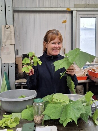 Weekly catch up with garden & propagation