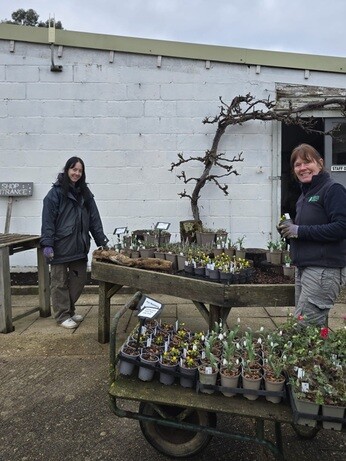 Weekly catch up with garden & propagation