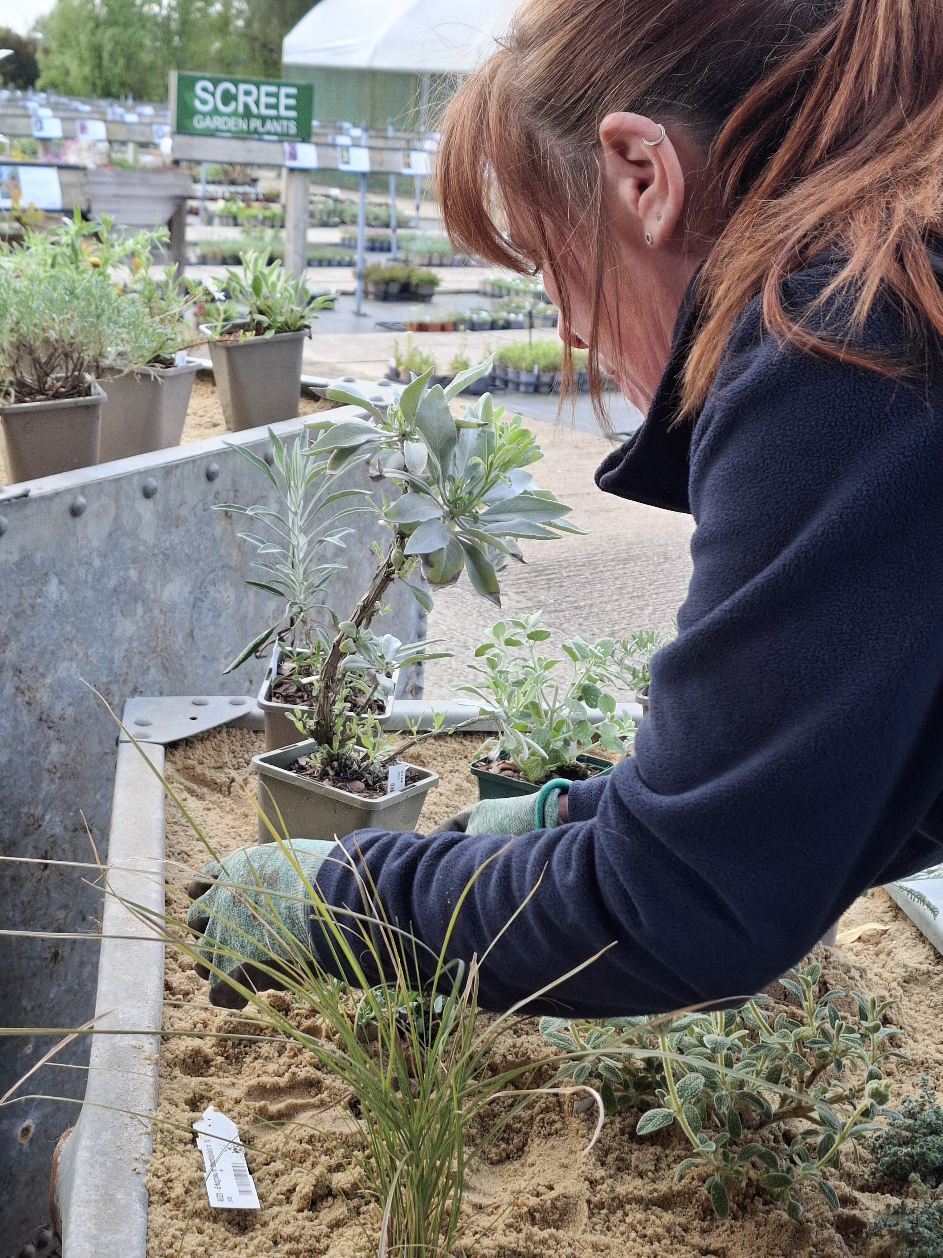 Weekly catch up with garden & propagation